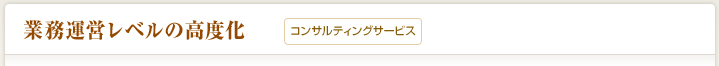 業務運営レベルの高度化（コンサルティング）