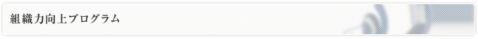 組織力向上プログラム