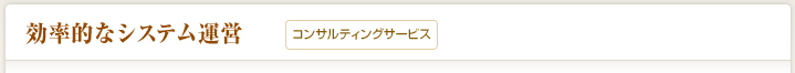 効率的なシステム運営（コンサルティング）