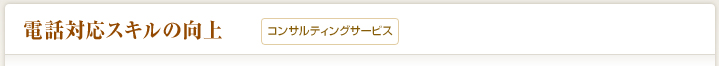 電話対応スキルの向上（コンサルティング）