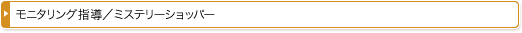 モニタリング指導／ミステリーショッパー